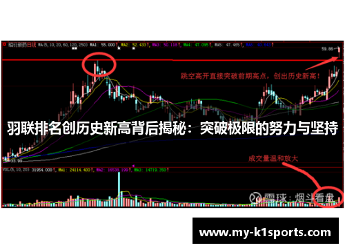 羽联排名创历史新高背后揭秘:突破极限的努力与坚持